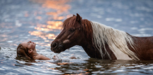 Fotoshooting mit Pferd im Wasser bei Sonnenuntergang