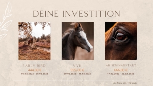 HandInHand Investition