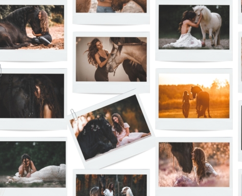 WORKSHOP, PFERDEFOTOGRAFIE